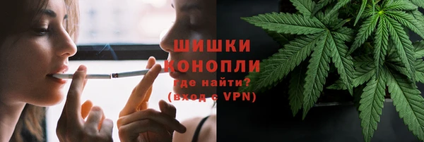 кокс Белокуриха