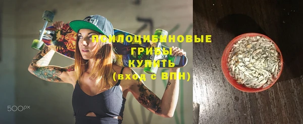 кокс Белокуриха