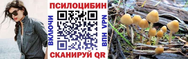 Псилоцибиновые грибы мухоморы  Купить закладки  Оренбург 
